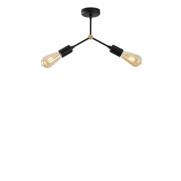 Luster Sparrow - 1252