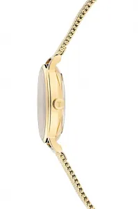 Hodinky Ted Baker TB CLASSIC CHIC
