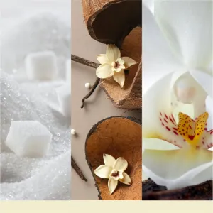 Yankee Candle Vanilla Flurries vonná sviečka Signature 567 g