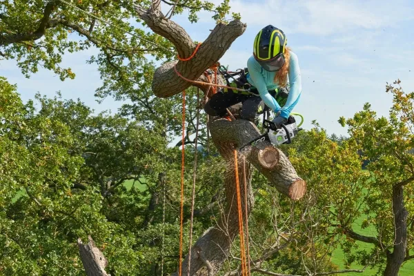 Jednoručná reťazová píla EGO POWER+ CSX3000 30 cm