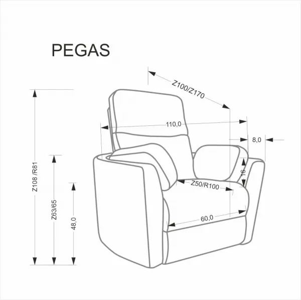 Elektrické polohovacie kreslo PEGAS Halmar