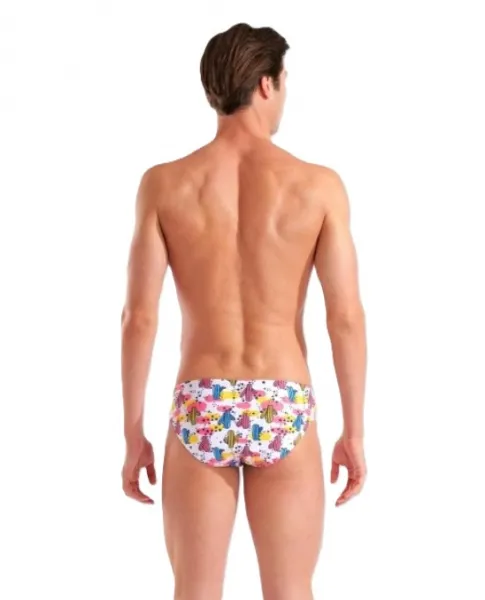 Arena performance desert swim brief s - uk32