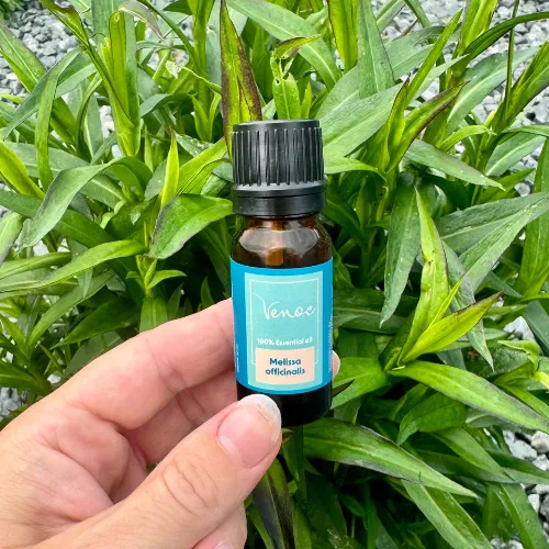 Esenciálny olej Medovka Venoc 10 ml