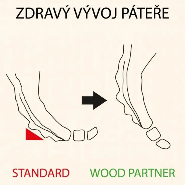 WOOD PARTNER Rastúca drevená ergonomická stolička LUCA biela/ biela