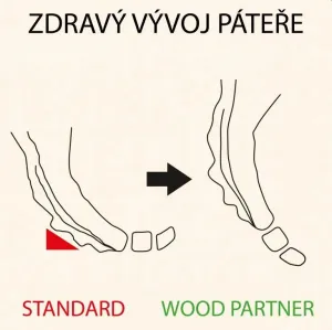 WOOD PARTNER Rastúca drevená ergonomická stolička LUCA biela/ biela