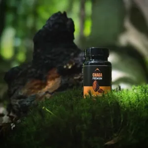 Chaga Hrotlife 60 kapsúl