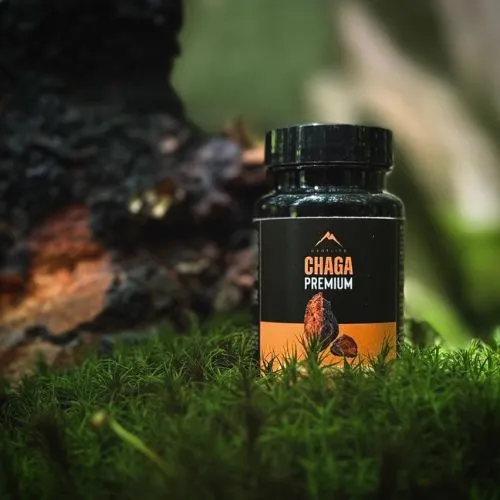 Chaga Hrotlife 60 kapsúl