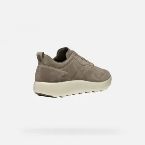 Light grey men's sneakers Geox Xtors - Men's