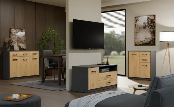 TP Living TV skrinka SIMPLO 1D2S 109 cm antracitová/dub remeselný