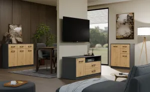 TP Living TV skrinka SIMPLO 1D2S 109 cm antracitová/dub remeselný