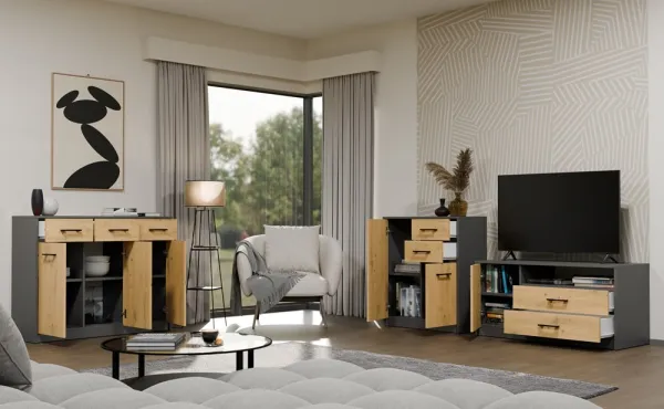 TP Living Komoda SIMPLO 2D2S 74 cm antracitová/dub artisan
