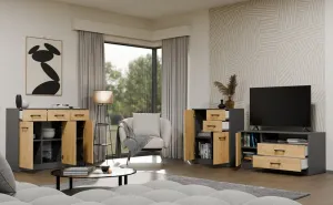 TP Living Komoda SIMPLO 2D2S 74 cm antracitová/dub artisan