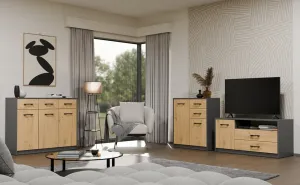 TP Living Komoda SIMPLO 2D2S 74 cm antracitová/dub artisan