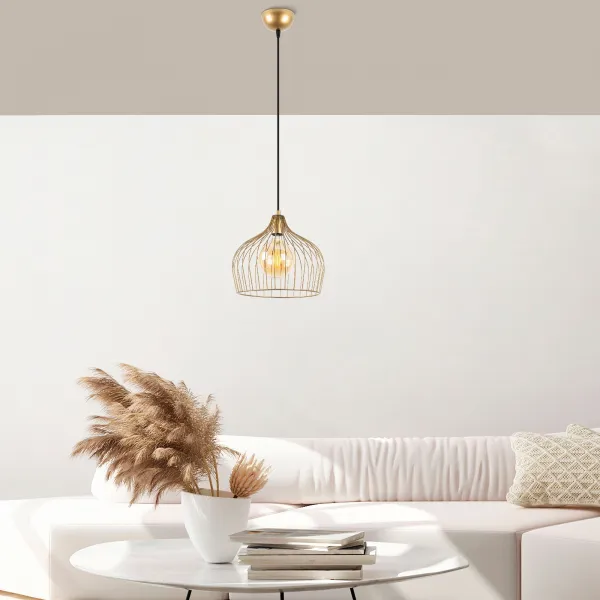 Luster Bek - 11371