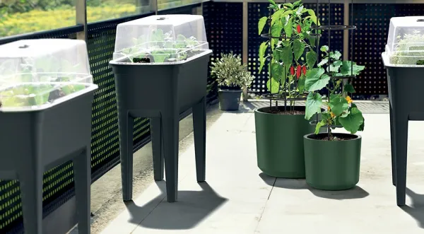 Prosperplast Sadbovač BOTANICE 77,5 cm šedý