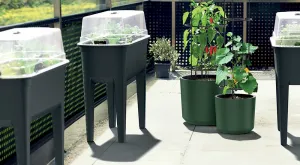 Prosperplast Sadbovač BOTANICE 77,5 cm šedý