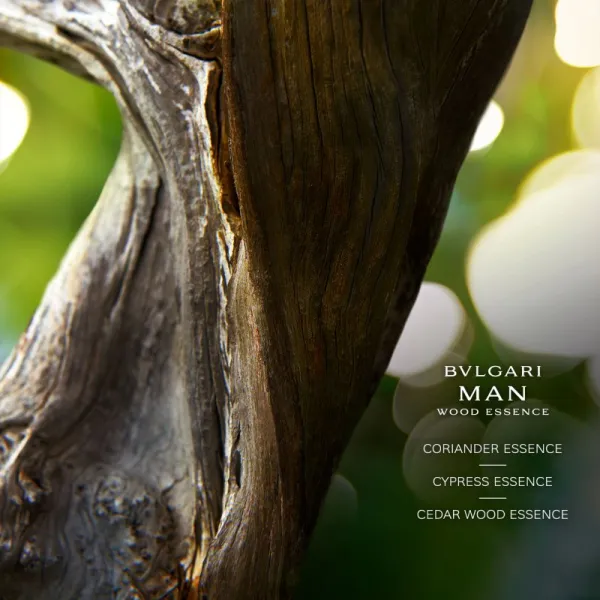 BVLGARI Bvlgari Man Wood Essence parfumovaná voda plniteľná pre mužov 60 ml