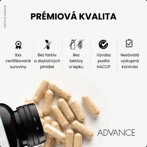 ADVANCE Magnesium 6 foriem horčíka 90 kapsúl