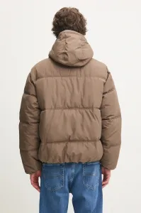 Bunda Hollister Co.