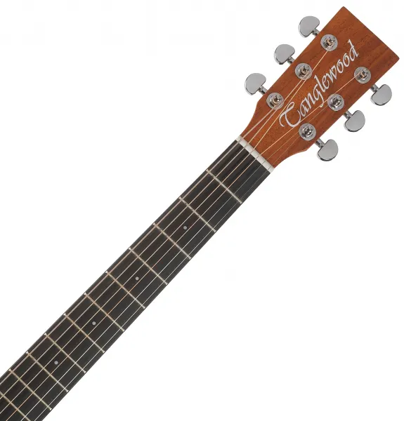 Tanglewood TR5E