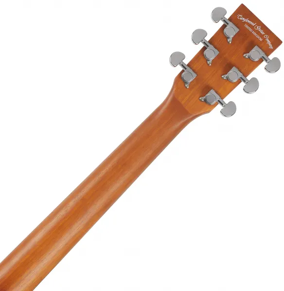 Tanglewood TR5E