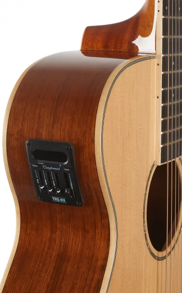 Tanglewood TRX4CE
