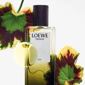Loewe Esencia Elixir parfém pre mužov 100 ml