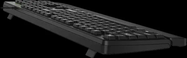 Genius KB-123 klávesnice drátová (USB) CZ/SK, černá