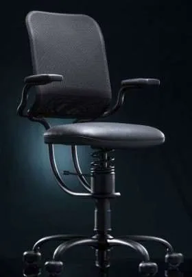 kancelárska stolička SpinaliS ERGONOMIC sivá R711