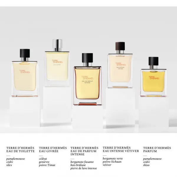 HERMÈS Terre d’Hermès Eau Intense Vétiver parfumovaná voda pre mužov 100 ml
