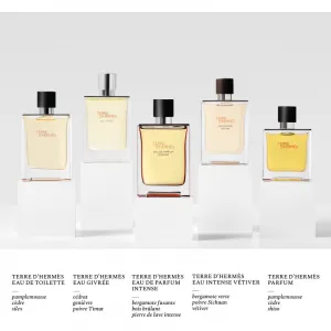HERMÈS Terre d’Hermès Eau Intense Vétiver parfumovaná voda pre mužov 100 ml