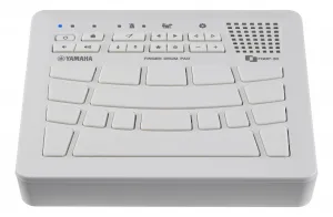 Yamaha FGDP-30