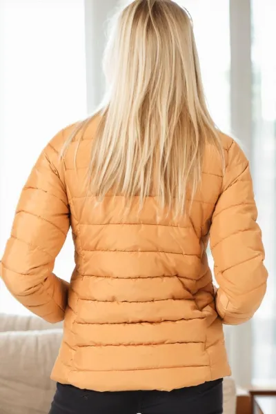Z9746 DEWBERRY WOMEN'S COAT-MINK
