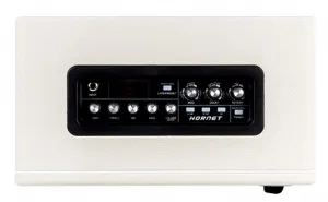 Mooer Hornet 30W White