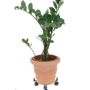 H&S Decoration Stojan na kvety na kolieskach Planten