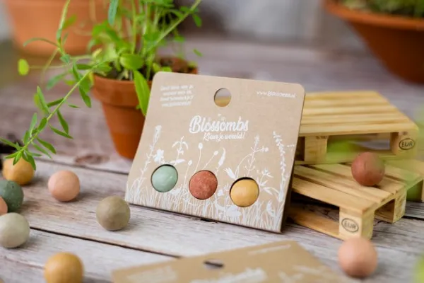 Semienkové bomby - drobný darček Blossombs 3ks