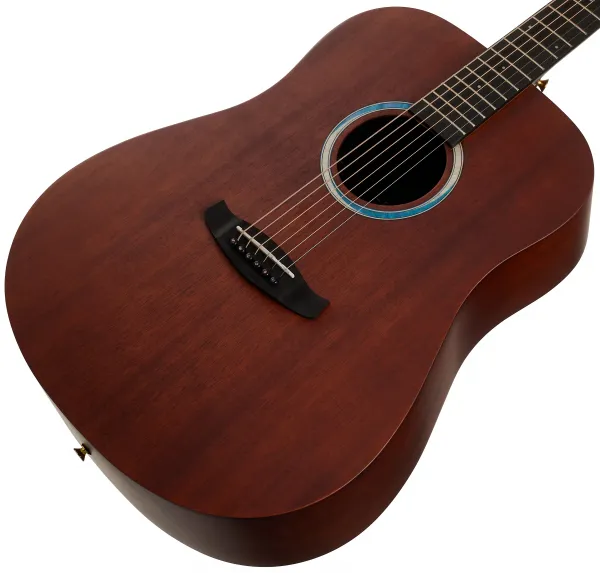 Tanglewood TE5 BL