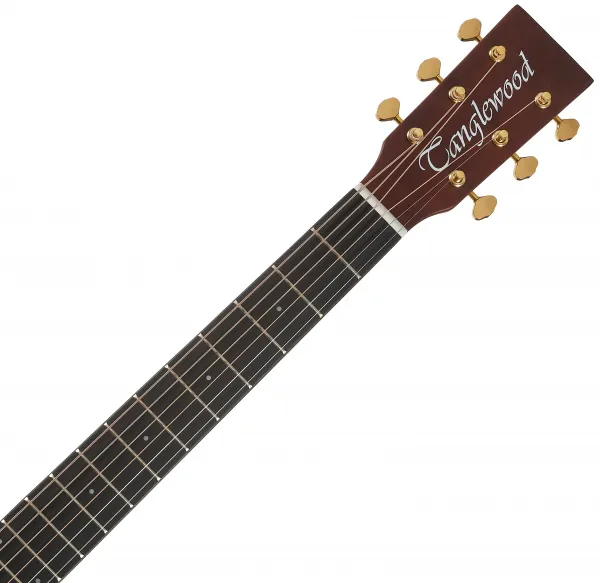 Tanglewood TE5 BL