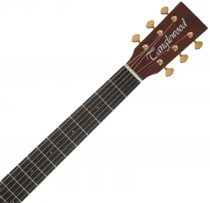 Tanglewood TE5 BL