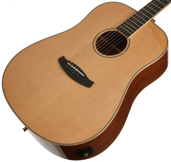 Tanglewood TRX5E