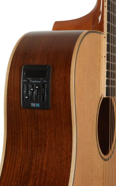 Tanglewood TRX5E