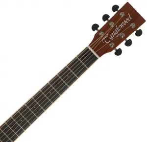 Tanglewood TRX5E