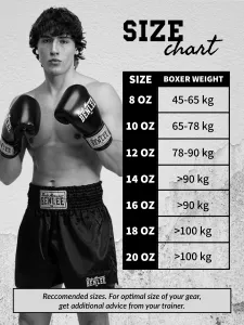 Lonsdale Leather boxing gloves (1 pair)