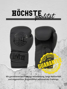 Boxerské rukavice (1pár) Benlee