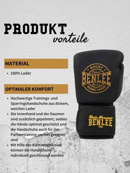 Benlee Leather boxing gloves