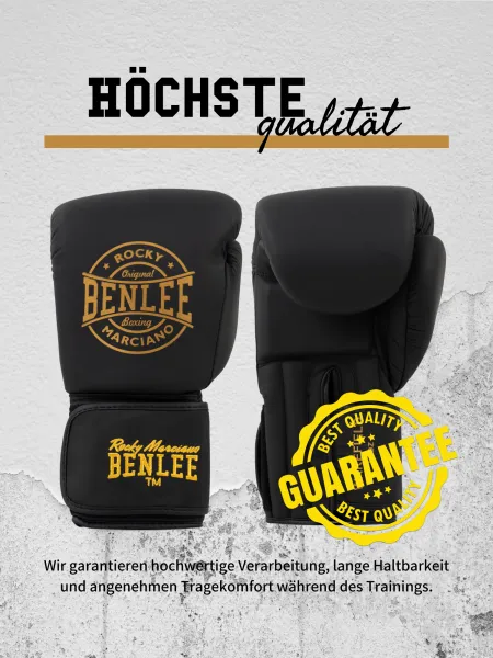 Benlee Leather boxing gloves