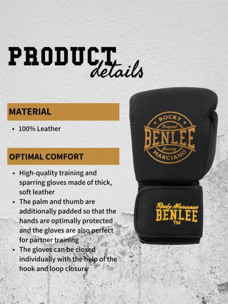 Benlee Leather boxing gloves