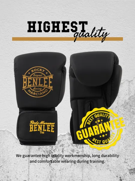 Benlee Leather boxing gloves