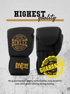 Benlee Leather boxing gloves