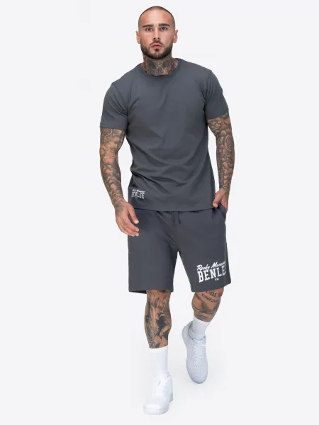 Benlee Men's t-shirt regular fit